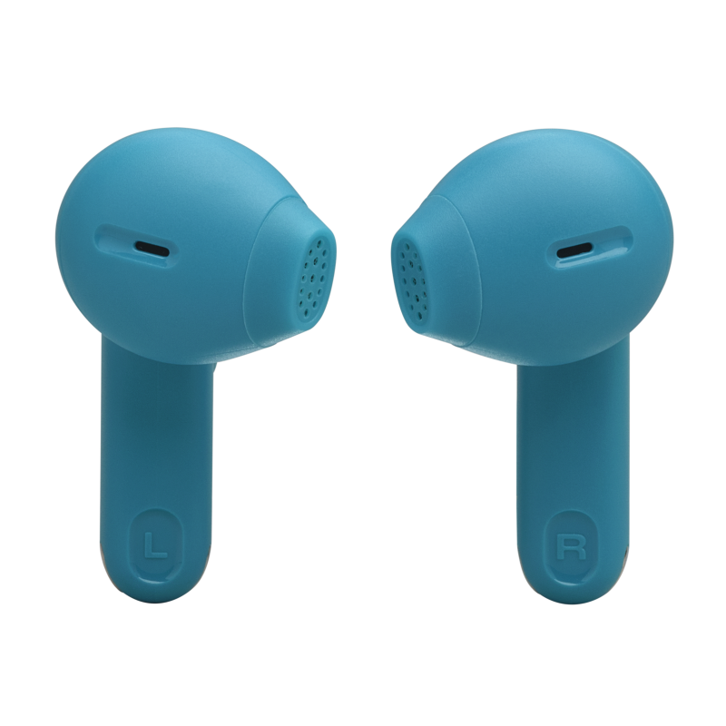 JBL Tune Flex 2